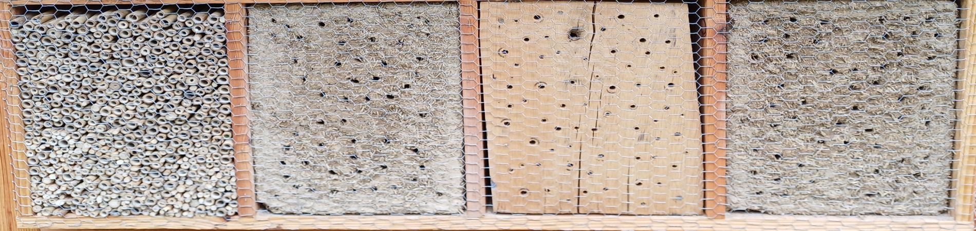 Neues Insektenhotel im Landschaftsmuseum
